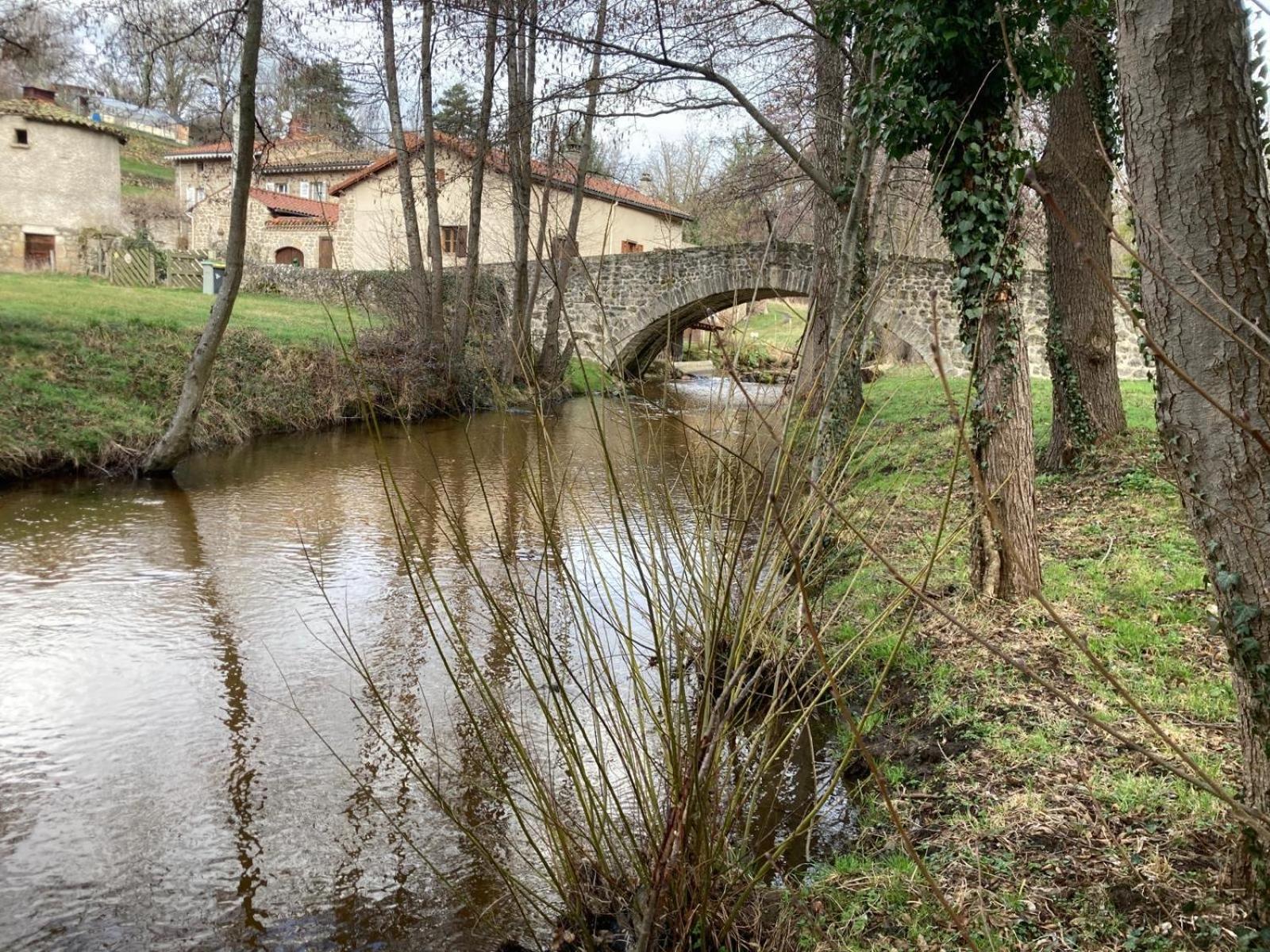 Jolie Maison De Campagne, Compostelle Soleymieux 外观 照片