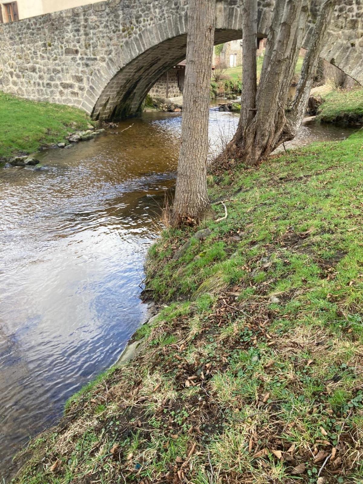 Jolie Maison De Campagne, Compostelle Soleymieux 外观 照片